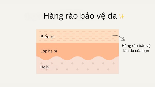 Hàng rào bảo vệ da là gì? Cách bảo toàn…