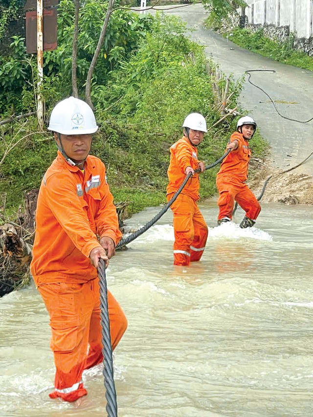 - Ảnh 1. - Ảnh 1.