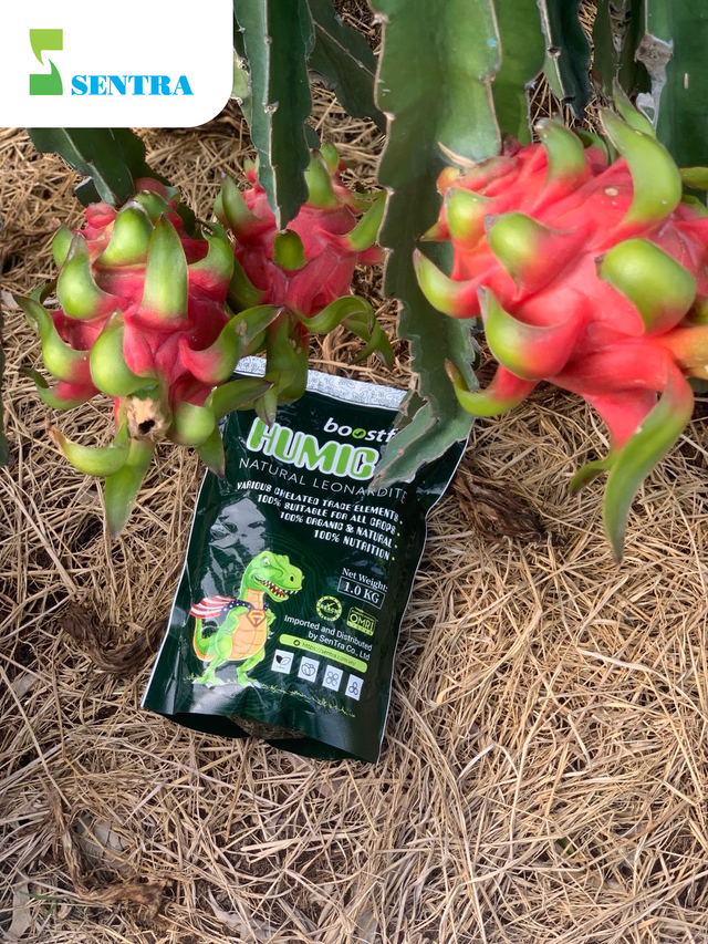 Boostfert Humic K - Phân bón sinh học - đa lượng SenTra cho hiệu quả bền vững - Ảnh 1.