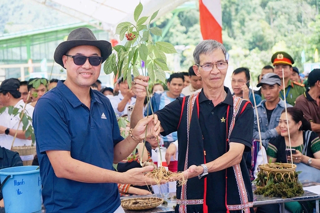 Sâm Ngọc Linh thành sứ giả của lòng nhân ái - Ảnh 1.
