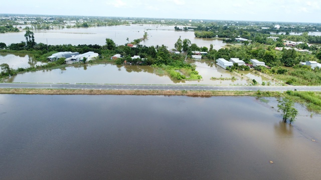 Đường tránh Cao Lãnh xuyên qua cánh đồng mùa nước nổi sắp hoàn thành- Ảnh 5. Đường tránh Cao Lãnh xuyên qua cánh đồng mùa nước nổi sắp hoàn thành- Ảnh 5.