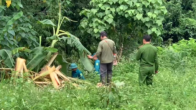 Lâm Đồng: Người đàn ông tử vong trong rừng Đắk Wil, nghi bị voi rừng giẫm chết - Ảnh 1.