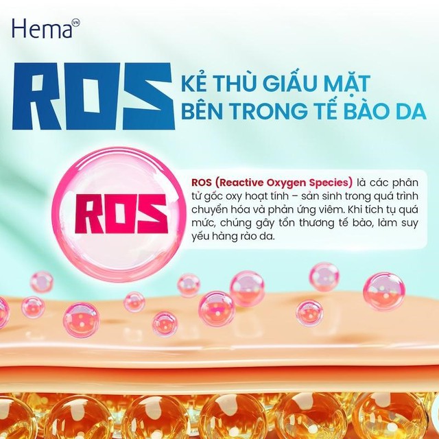 HemaHeal - Mảnh gh&eacute;p c&ograve;n thiếu trong quản l&yacute; phục hồi sau phẫu thuật - Ảnh 2.