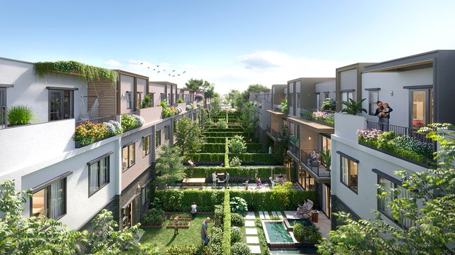 - Ảnh 2. - Ảnh 2.