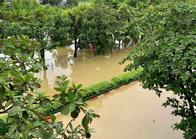 Người dân Thanh Hóa, Tuyên Quang bất lực sau mưa lũ: 'Trôi hết rồi còn đâu!' - Ảnh 4.