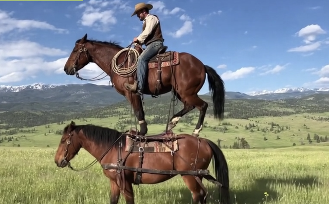 OpenAI ra mắt mạng xã hội Sora giống TikTok tràn ngập video AI giả mạo - Ảnh 2.