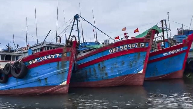 Vi phạm hàng loạt trong lĩnh vực hải sản, thuyền trưởng bị phạt gần 700 triệu đồng- Ảnh 2.