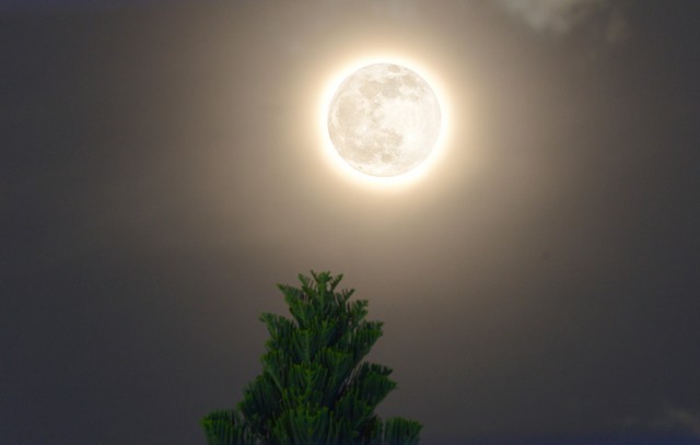 Vừa qua 20.10, h&ocirc;m nay người Việt ch&iacute;nh thức đ&oacute;n m&ugrave;ng 1 th&aacute;ng 9 theo lịch &acirc;m - Ảnh 2.