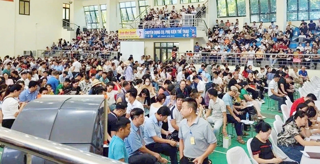 Đề xuất bỏ cọc đấu giá đất: Cấm tham gia 5 năm nếu vi phạm - Ảnh 1.