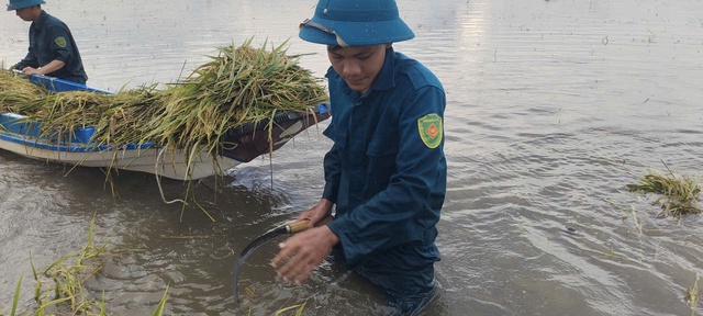 Tây Ninh: Mưa lũ khẩn cấp, nước sông Vàm Cỏ Đông vượt báo động III- Ảnh 2.