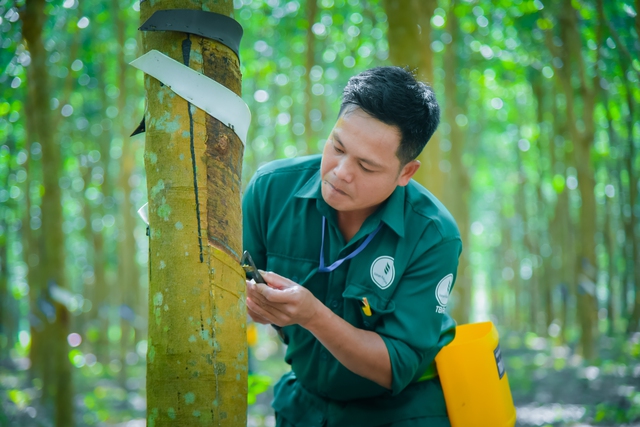 VRG vượt kế hoạch lợi nhuận năm 2025 trong 9 tháng- Ảnh 2.