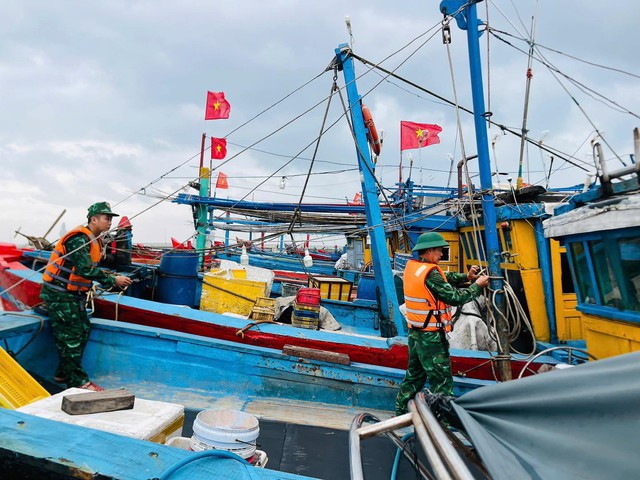 Ứng phó bão Fengshen (bão số 12): Quảng Ngãi bắn pháo hiệu khẩn cấp kêu gọi tàu thuyền vào bờ - Ảnh 2.