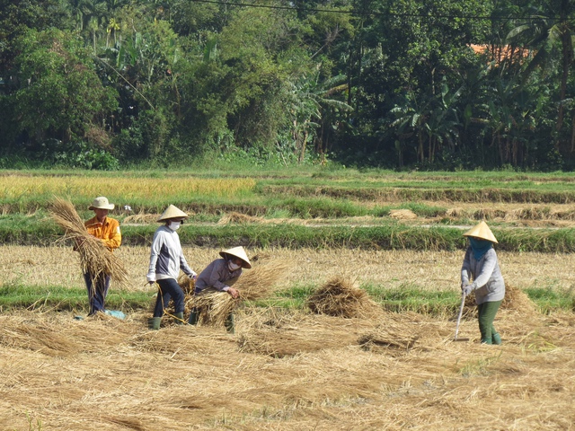 Những câu chuyện thời hoa lửa: Khi chiến thắng thôi thúc lòng người- Ảnh 5. Những câu chuyện thời hoa lửa: Khi chiến thắng thôi thúc lòng người- Ảnh 5.