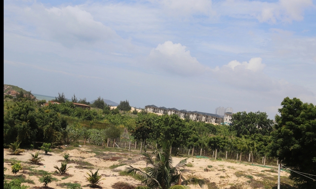 Lâm Đồng sẽ thay lãnh đạo cấp sở để đẩy nhanh giải ngân vốn đầu tư công? - Ảnh 4.