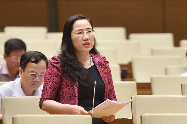 Đại biểu lo lắng trước 'ma trận' lừa đảo bắt cóc online, bán người qua biên giới- Ảnh 2.