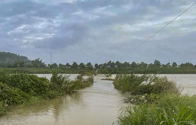 Ứng phó bão Fengshen (bão số 12): Quảng Ngãi bắn pháo hiệu khẩn cấp kêu gọi tàu thuyền vào bờ - Ảnh 3.