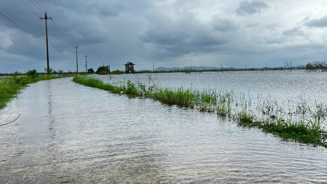 Vùng trũng Huế ngập trước khi bão Fengshen vào bờ, người dân lo lũ lớn- Ảnh 3.