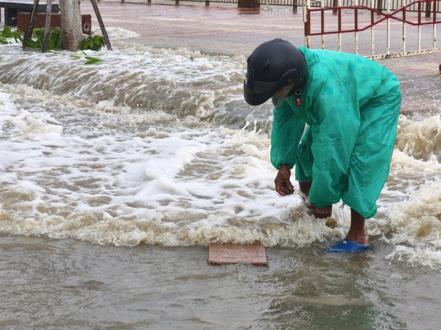 - Ảnh 2. - Ảnh 2.