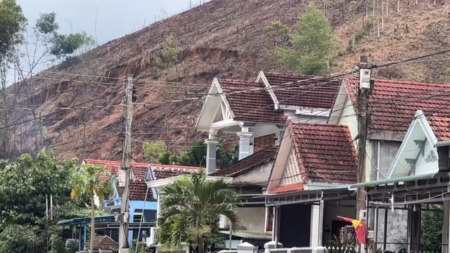 - Ảnh 3. - Ảnh 3.