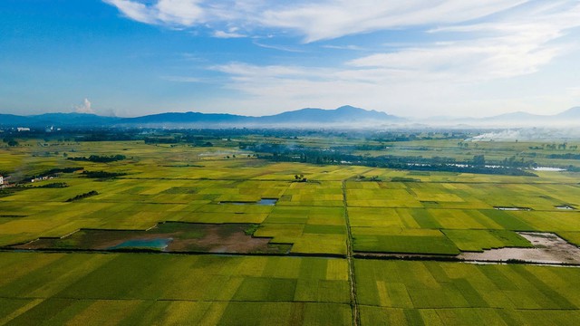 H&agrave; Nội tập trung ph&aacute;t triển n&ocirc;ng sản c&oacute; tiềm năng xuất khẩu- Ảnh 1.