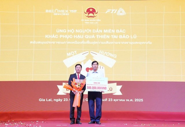 Becamex khởi động hàng loạt dự án tại Gia Lai- Ảnh 3.