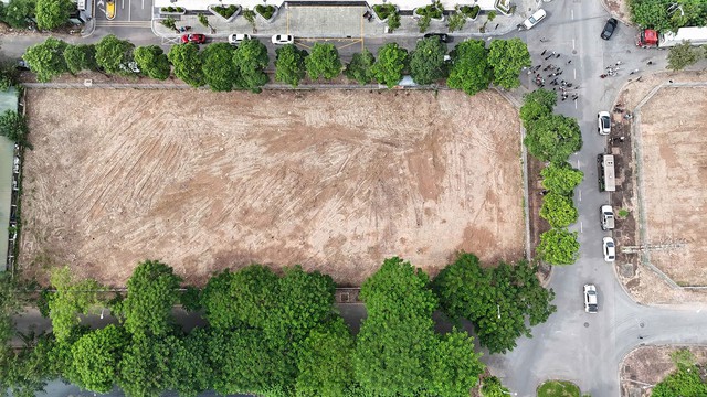 - Ảnh 2. - Ảnh 2.