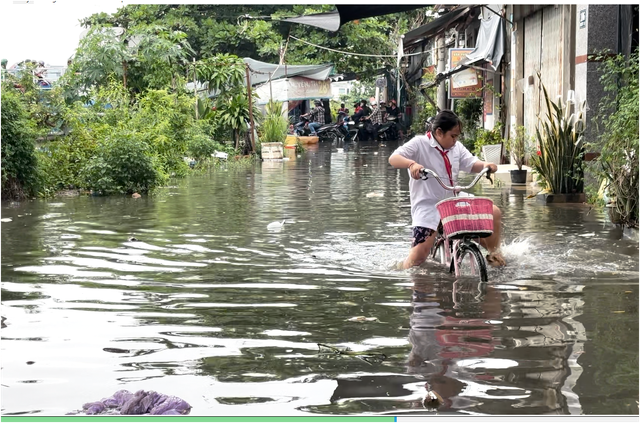 Bão số 15, Hồ Dầu Tiếng xả lũ: TP.HCM có nguy cơ ngập sâu? - Ảnh 2.