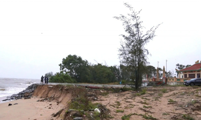 Sau nhiều trận bão, bờ biển Quảng Trị sạt lở nghiêm trọng- Ảnh 1. Sau nhiều trận bão, bờ biển Quảng Trị sạt lở nghiêm trọng- Ảnh 1.