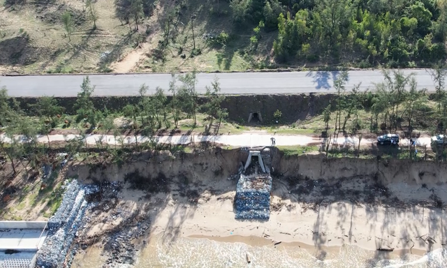 Sau nhiều trận bão, bờ biển Quảng Trị sạt lở nghiêm trọng- Ảnh 3. Sau nhiều trận bão, bờ biển Quảng Trị sạt lở nghiêm trọng- Ảnh 3.