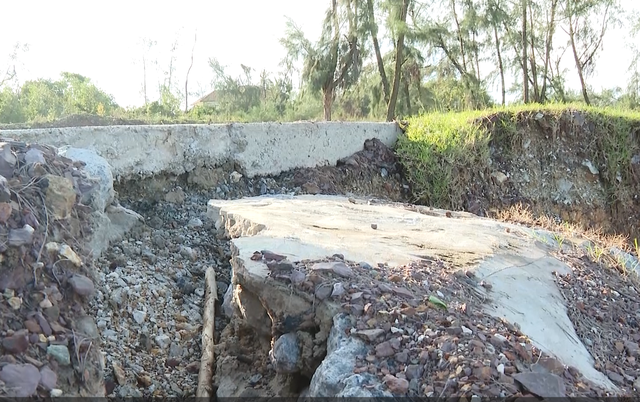 Sau nhiều trận bão, bờ biển Quảng Trị sạt lở nghiêm trọng- Ảnh 6. Sau nhiều trận bão, bờ biển Quảng Trị sạt lở nghiêm trọng- Ảnh 6.