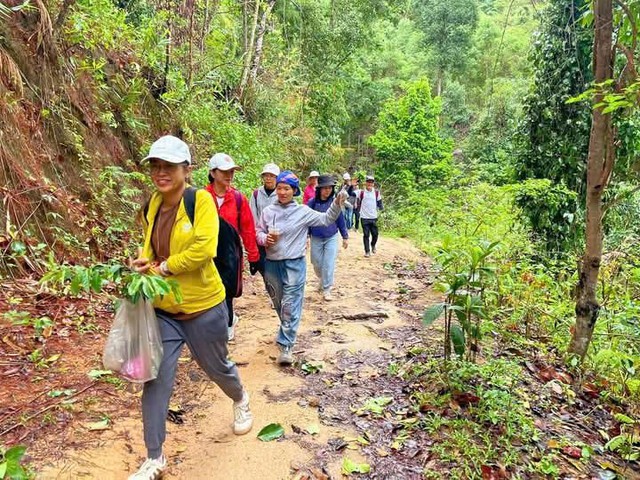 Nảy mầm xanh trên đỉnh núi đá Chư Nâm - Ảnh 9.