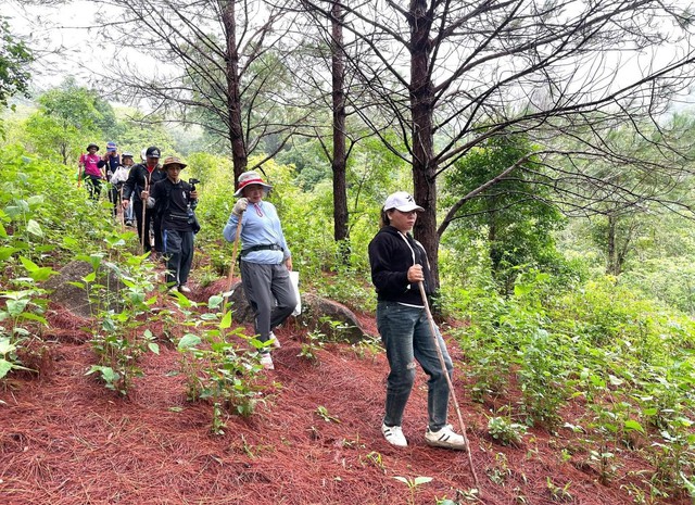 Nảy mầm xanh trên đỉnh núi đá Chư Nâm - Ảnh 10.