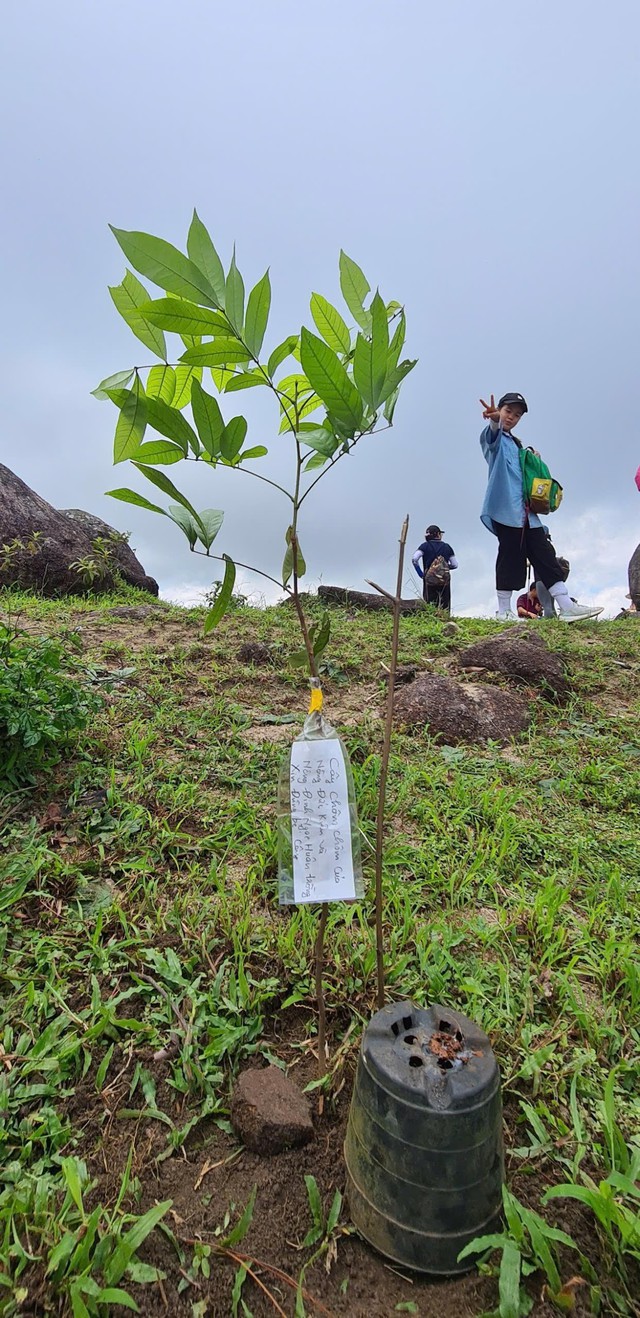 Nảy mầm xanh trên đỉnh núi đá Chư Nâm - Ảnh 14.