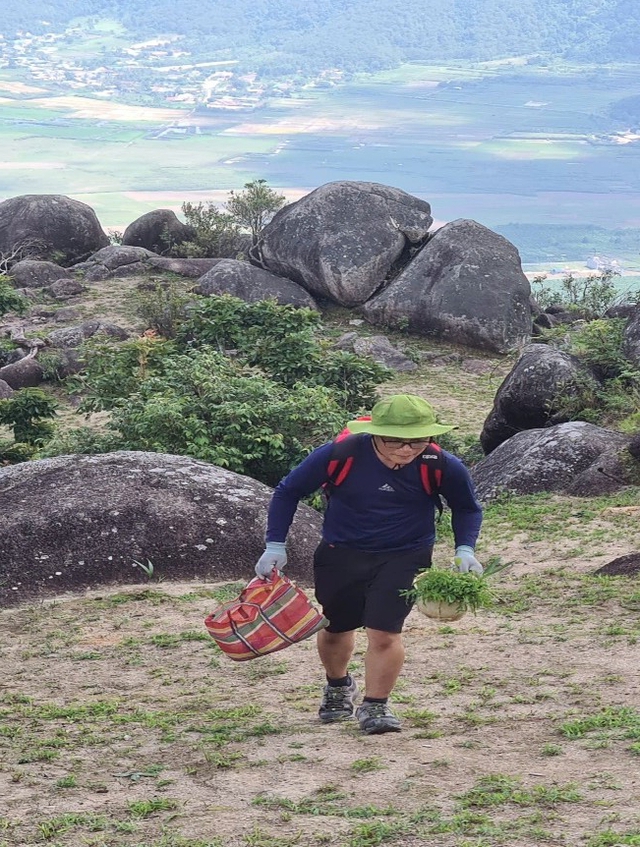 Nảy mầm xanh trên đỉnh núi đá Chư Nâm - Ảnh 2.