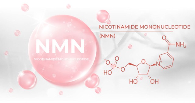NMN là gì? Có phải là hoạt chất 'làm chậm quá trình lão hóa'?
- Ảnh 1. 
NMN là gì? Có phải là hoạt chất 'làm chậm quá trình lão hóa'?
- Ảnh 1.
