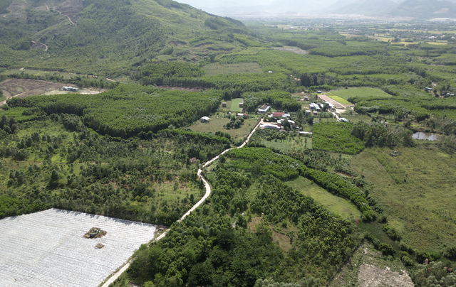 Gia Lai chuyển đổi hơn 80 ha đất rừng để triển khai 7 dự án - Ảnh 1.