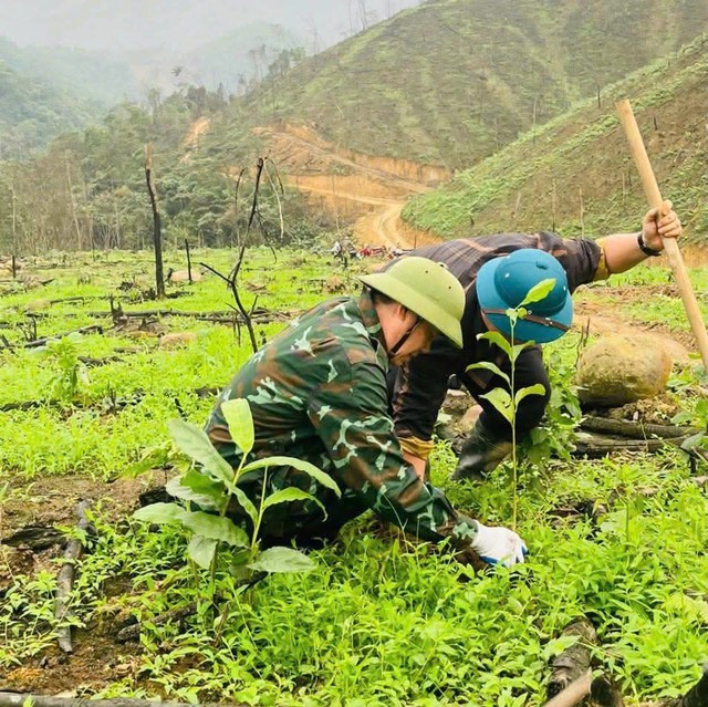 Phủ xanh y&ecirc;u thương- Ảnh 3.