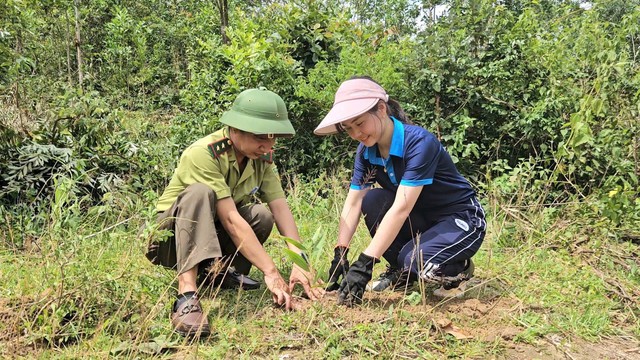 Phủ xanh y&ecirc;u thương- Ảnh 2.