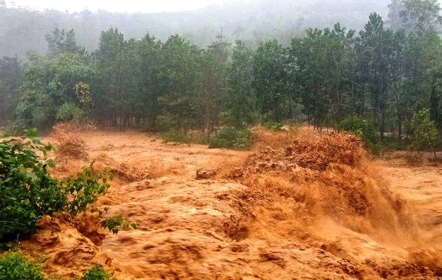 Đối diện mưa lũ 'lịch sử', Đà Nẵng yêu cầu không để người dân bị đói, rét- Ảnh 1.