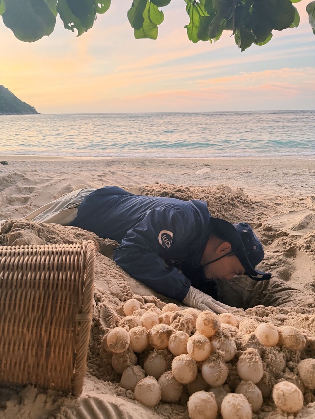 H&agrave;nh tr&igrave;nh bảo tồn r&ugrave;a biển của ch&agrave;ng trai xứ nắng T&acirc;y Ninh - Ảnh 2.