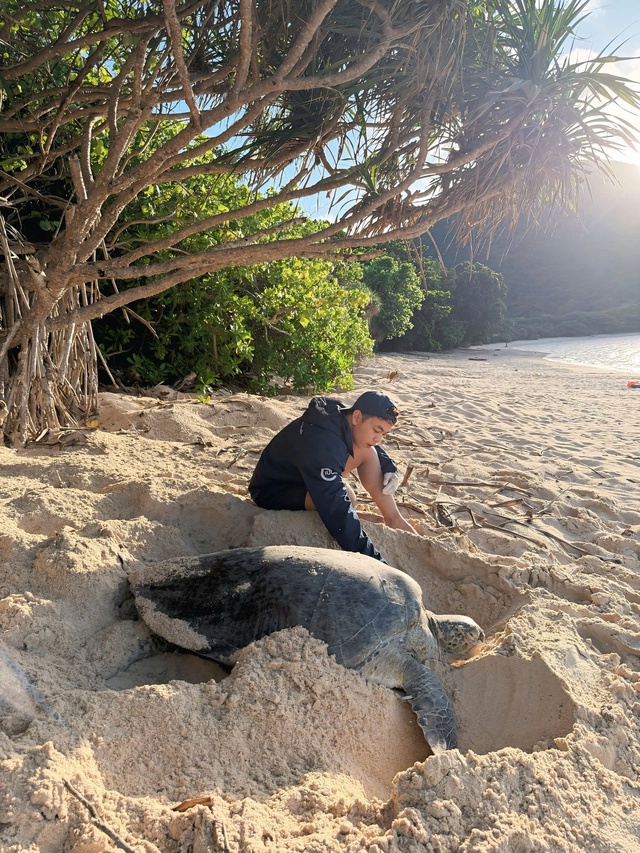 H&agrave;nh tr&igrave;nh bảo tồn r&ugrave;a biển của ch&agrave;ng trai xứ nắng T&acirc;y Ninh - Ảnh 6.