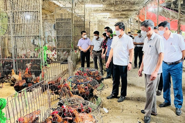 6 th&aacute;ng đầu năm, H&agrave; Nội xuất khẩu n&ocirc;ng - l&acirc;m - thủy sản đạt 834 triệu USD- Ảnh 2.