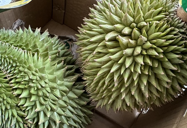 Cadimi 'hung thần' của sầu riêng sẽ bị cấm ở Việt Nam- Ảnh 1. Cadimi 'hung thần' của sầu riêng sẽ bị cấm ở Việt Nam- Ảnh 1.