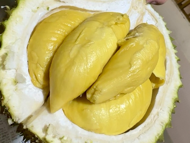 Chỉ 1 th&aacute;ng, xuất khẩu sầu ri&ecirc;ng chạm mốc kỷ lục 1 tỉ USD
- Ảnh 1.