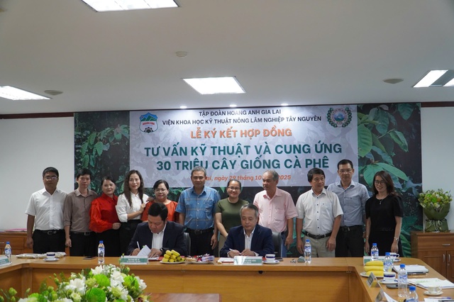 HAGL cà phê mở rộng diện tích trồng lên 10 ngàn ha tại Việt Nam và Lào - Ảnh 1. HAGL cà phê mở rộng diện tích trồng lên 10 ngàn ha tại Việt Nam và Lào - Ảnh 1.