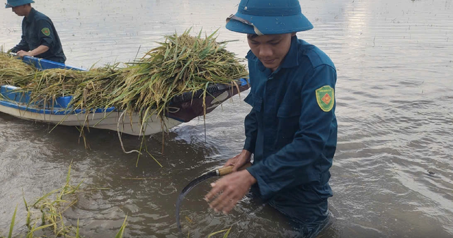 Nông dân thấp thỏm vì mưa lũ bất thường- Ảnh 2. Nông dân thấp thỏm vì mưa lũ bất thường- Ảnh 2.