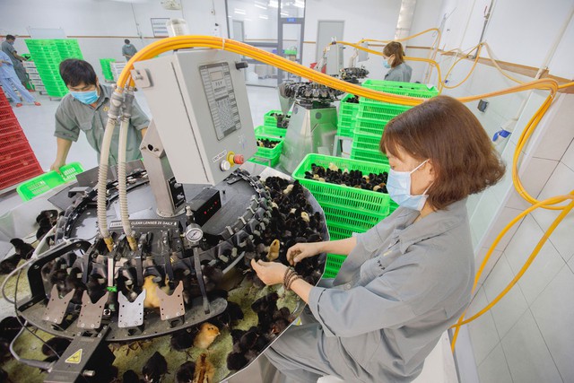 Japfa khẳng định vị thế ti&ecirc;n phong trong n&ocirc;ng nghiệp c&ocirc;ng nghệ cao- Ảnh 3.