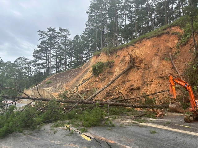 Thu dọn cây ngã đổ trên đèo D'Ran. ẢNH: L.V Thu dọn cây ngã đổ trên đèo D'Ran