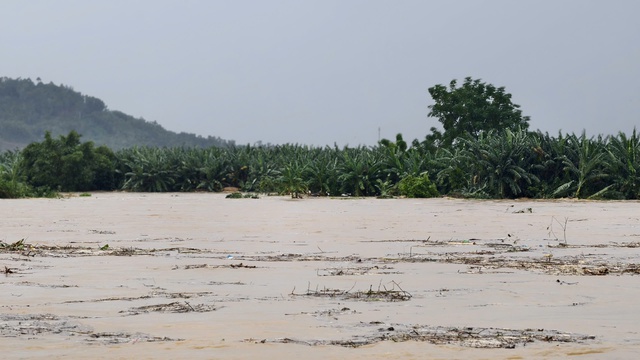 Giải cứu 8 người dân mắc kẹt giữa dòng lũ dữ trên sông Trà Khúc- Ảnh 3. Giải cứu 8 người dân mắc kẹt giữa dòng lũ dữ trên sông Trà Khúc- Ảnh 3.