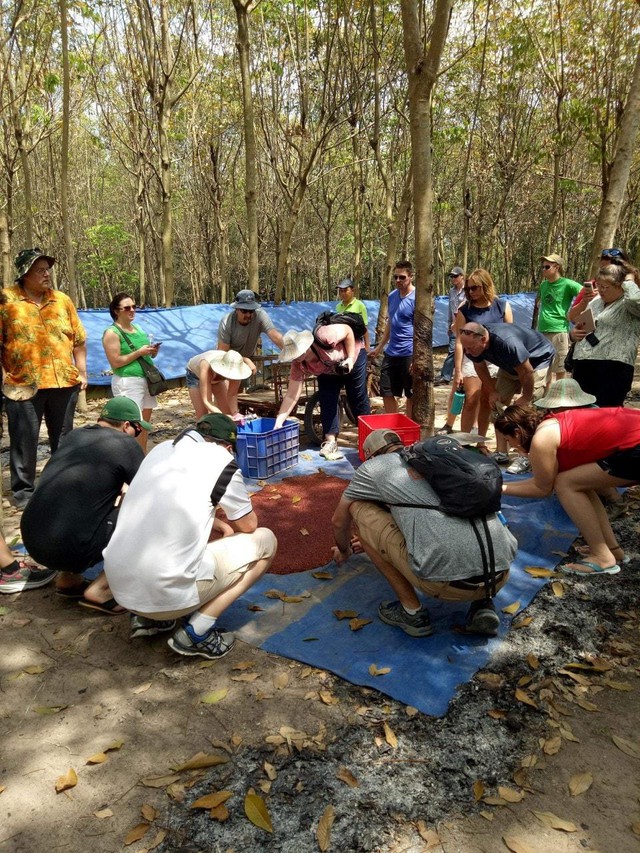 Vương tr&ugrave;n quế - Ảnh 4.